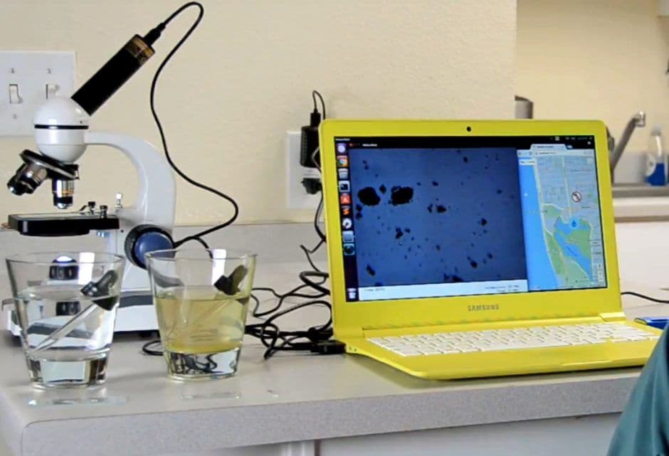 AI-Based Water Quality Predictor